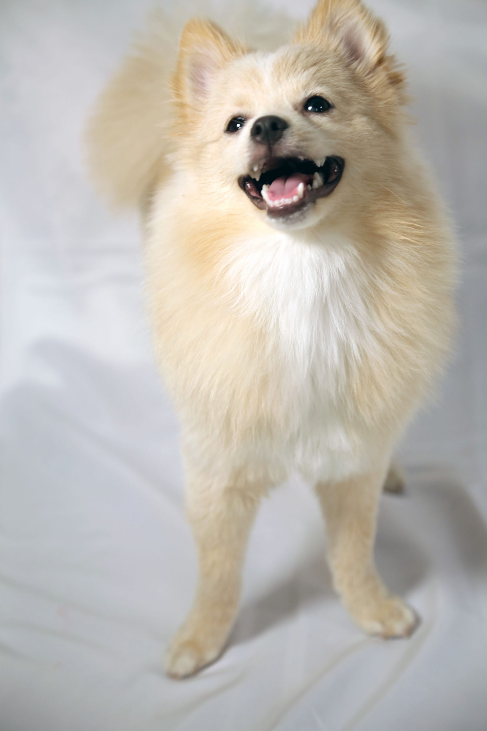 MMEKO scaled
