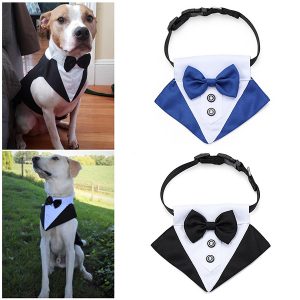 Dog Tuxedo Bow