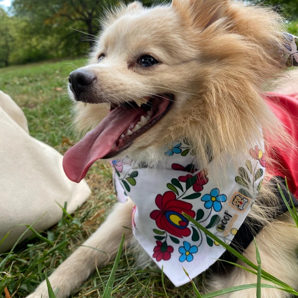 matyo mintas feher bandana