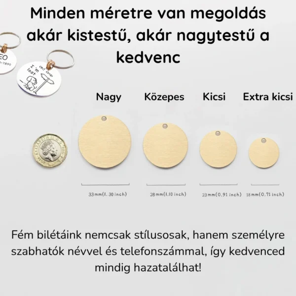 Egyedi,  Kutyabiléta Gravírozva –  Rozsdamentes Acél Névtábla Nyakörvhöz - Image 6